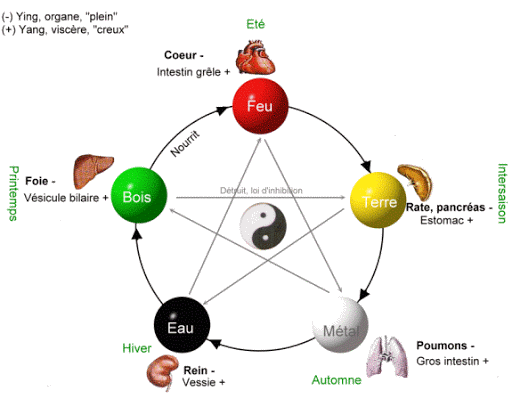 Qi Gong Elements